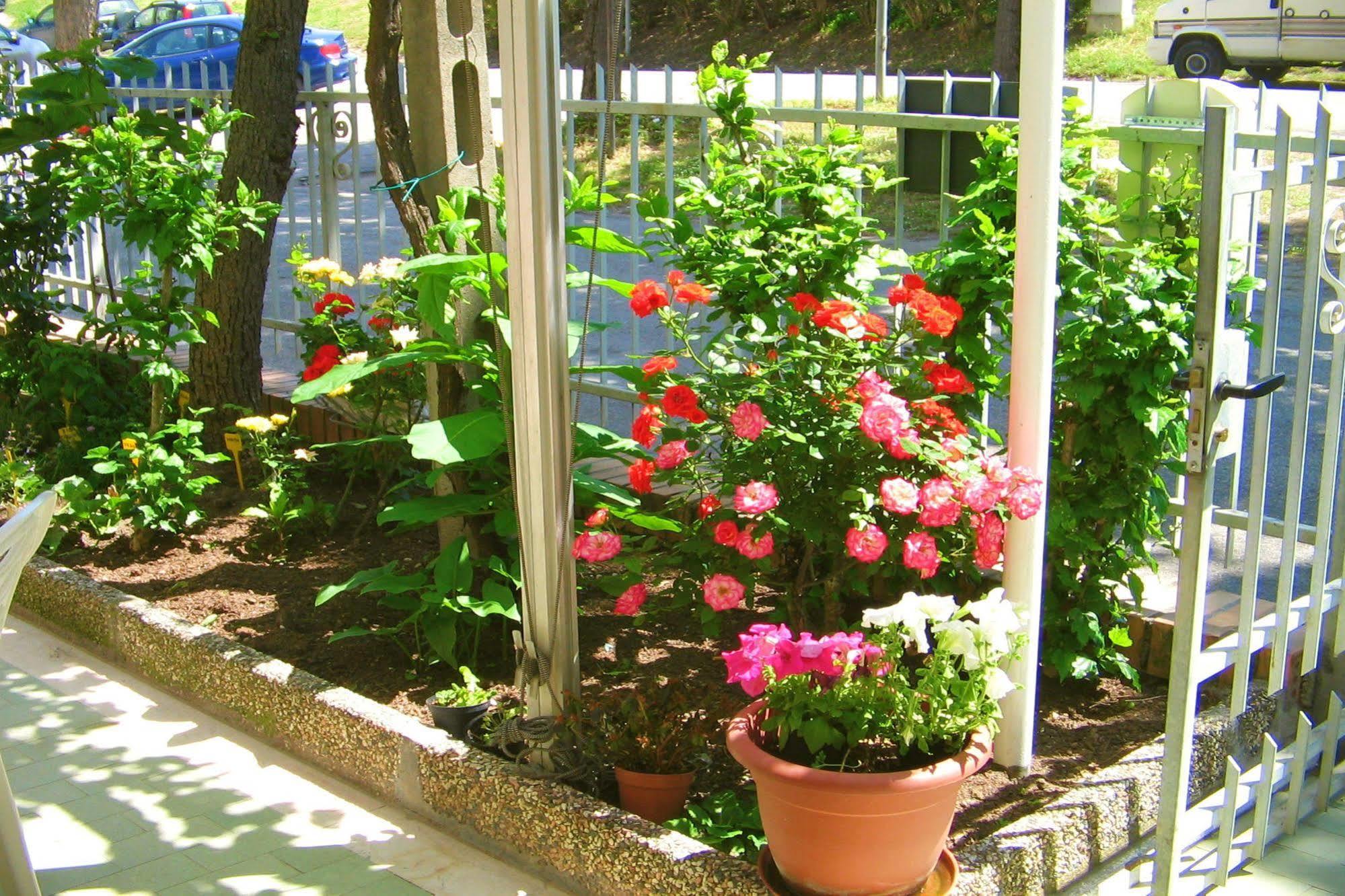 ريميني Villa Lauda B&B المظهر الخارجي الصورة